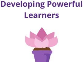 powerful learners