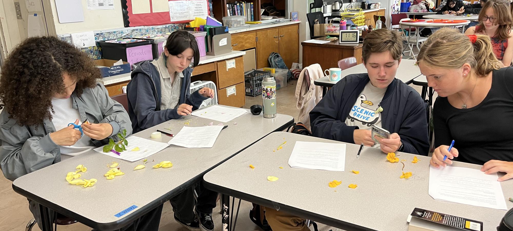 Milestones & Resources